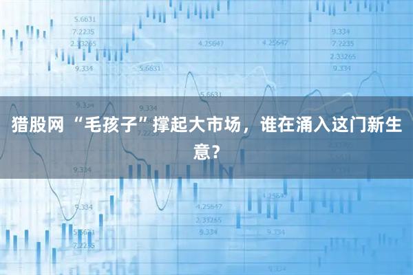 猎股网 “毛孩子”撑起大市场，谁在涌入这门新生意？